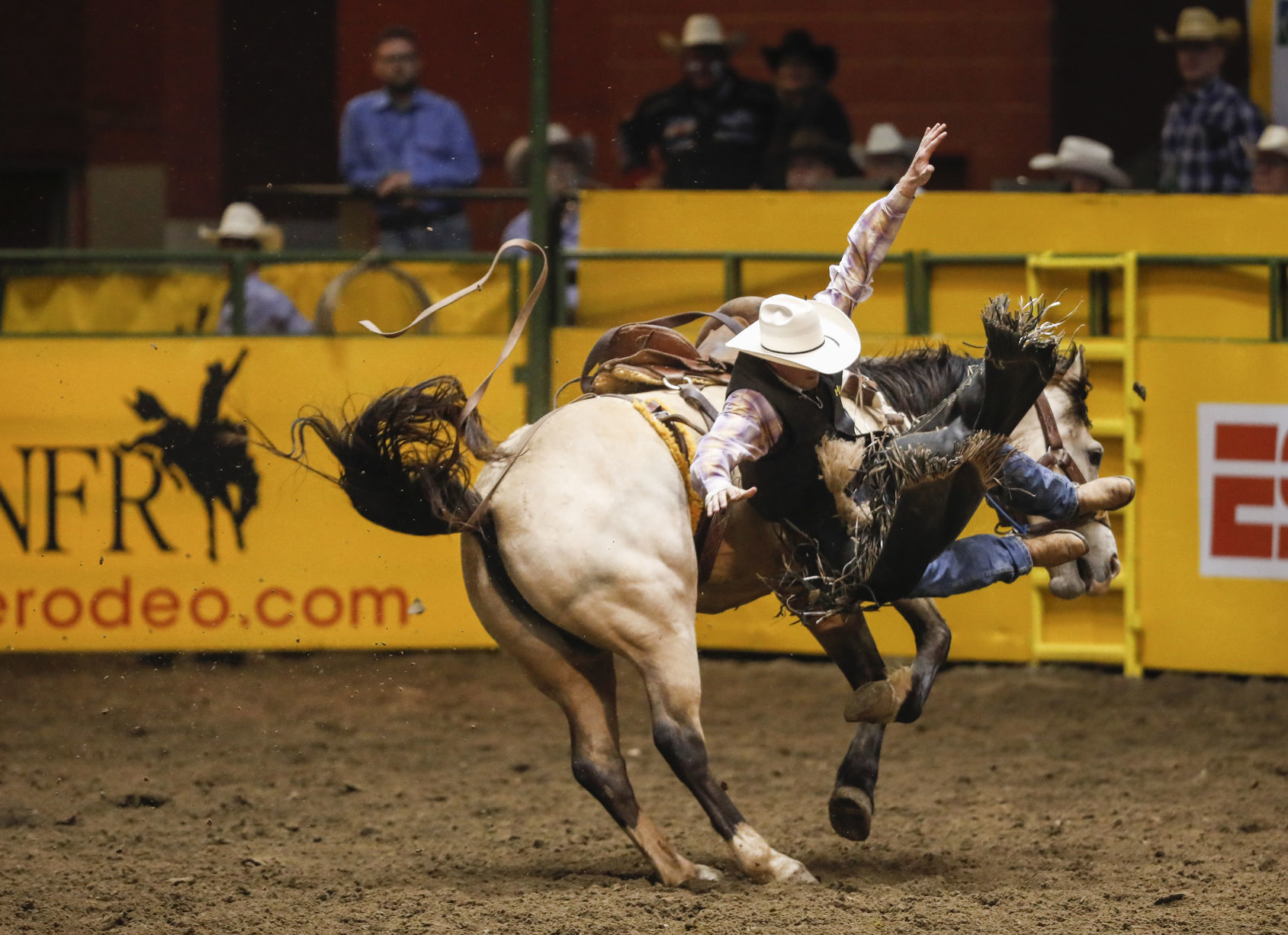 CNFR - Thursday